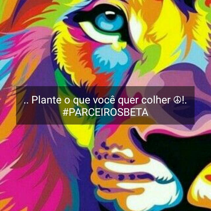 Boa noite .vamos pontuar .sigam essa tag #PARCEIROSBETA e todos deste tweet 
Sigam e seram seguidos de volta ..