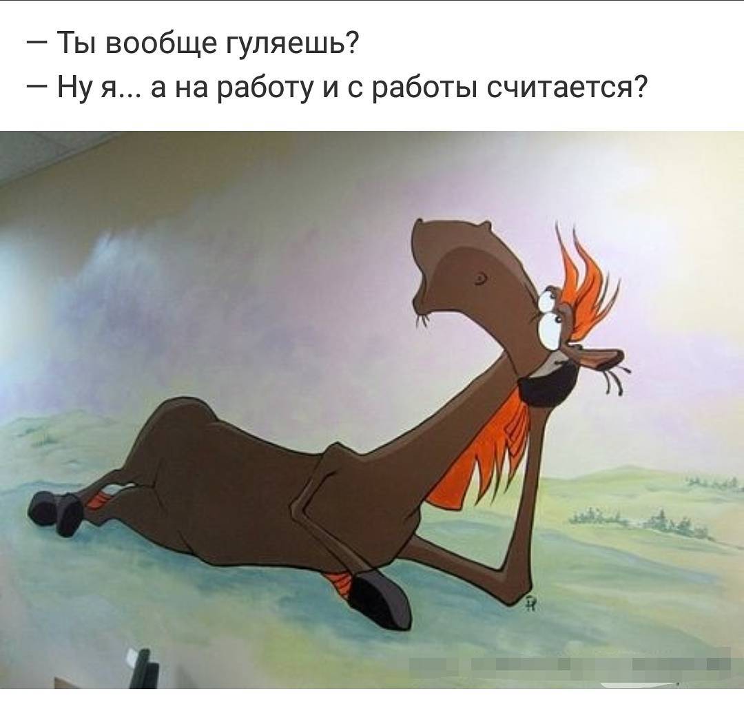 Ты вообще гуляешь на работу и с работы