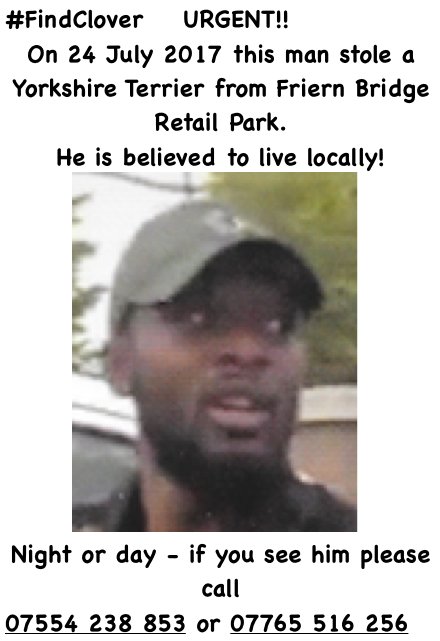 Find Clover tweet media