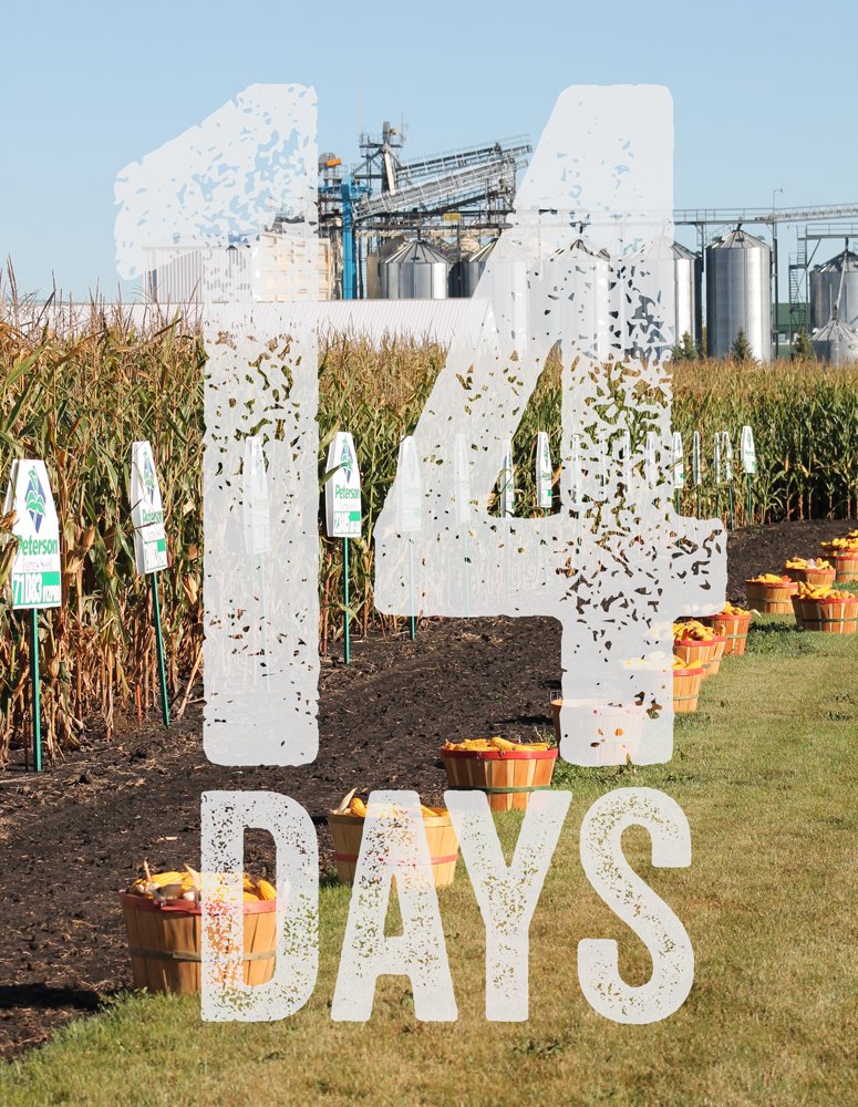 PFSeed's tweet photo. We're 2 weeks away from Field Day 2017! This year, our Field Day is going to be more 'promising' than ever... September 7th form 10a-4p! https://t.co/rDHEwu20Uf