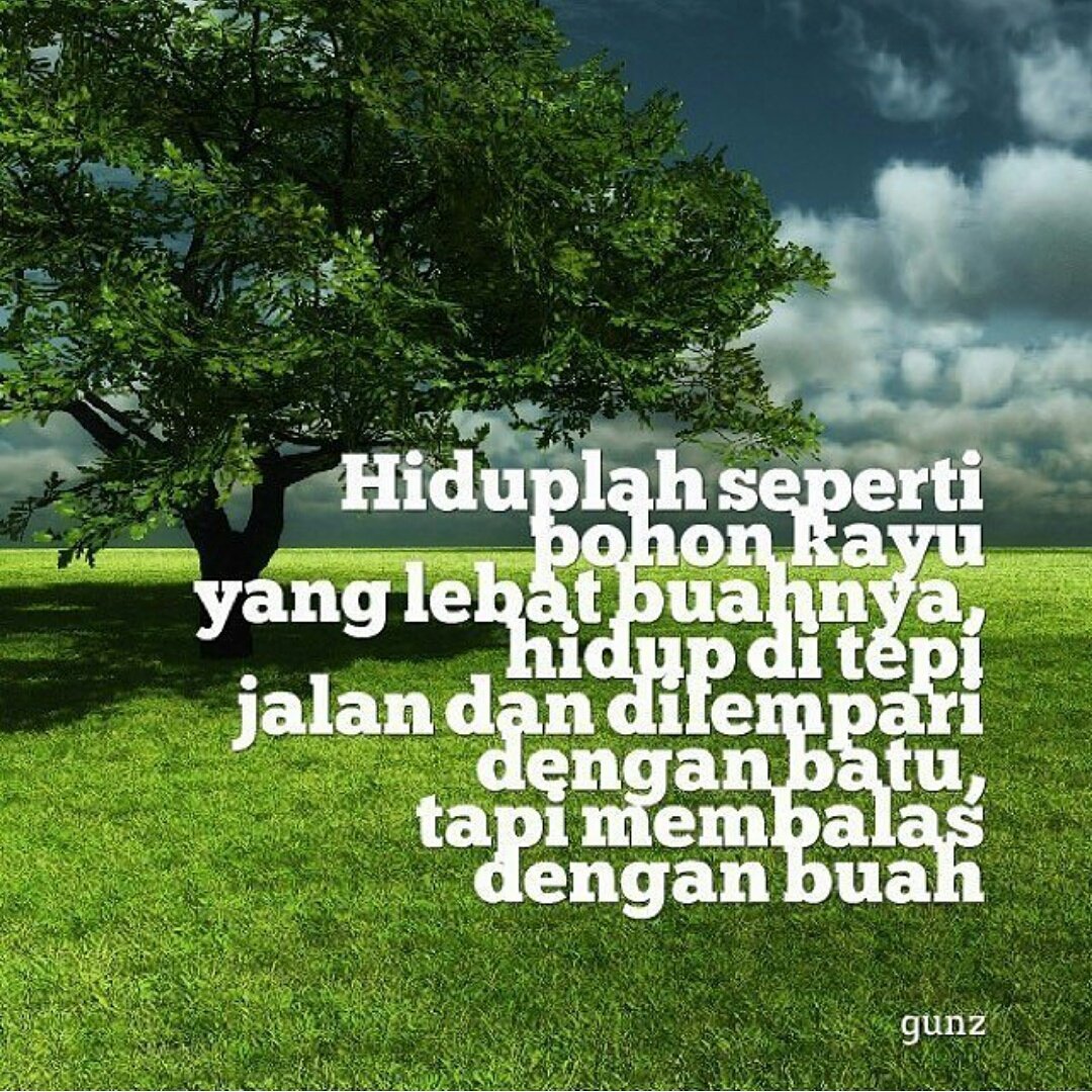 kata2bijak's tweet photo. Hiduplah seperti pohon kayu yang lebat buahnya, hidup ditepi jalan dan dilempar dengan batu namun membalasnya dengan buah https://t.co/pYA5d0AVKd