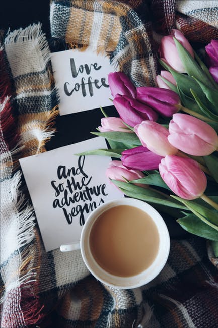 banned_coffee's tweet photo. Coffee is our love language! #Coffee #Love #Adventure #BannedCoffee #LoveLanguage https://t.co/KbVJm39rGn