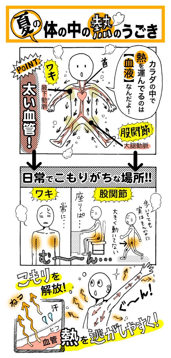 【夏も冬も血流大事】
「ワキの下や股関節の近くには太い血管が通っていて、動かさずにいると血流が滞りがちになり、熱がこもった感覚になってしまいます」(監修の院長) 冬だと冷えて体が凝る!年中血流を良くしておくのが大事!
熱を発散/つづきhttps://t.co/lxBd4tv0rl 