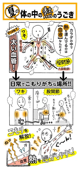 【夏も冬も血流大事】
「ワキの下や股関節の近くには太い血管が通っていて、動かさずにいると血流が滞りがちになり、熱がこもった感覚になってしまいます」(監修の院長) 冬だと冷えて体が凝る!年中血流を良くしておくのが大事!
熱を発散/つづきhttps://t.co/lxBd4tv0rl 