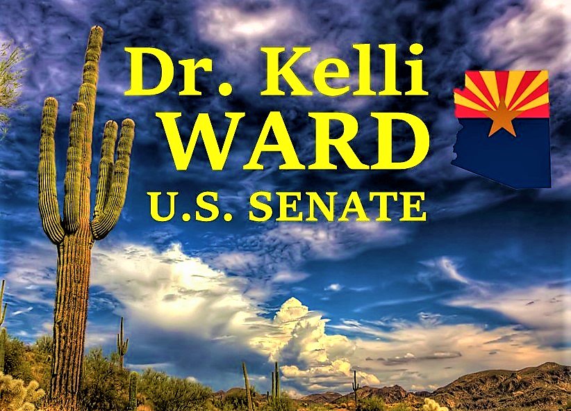 VizWorld's tweet photo. 🌵ARIZONA FOR KELLI WARD🌵
#KelliWard #Arizona #GOP #NoFlakes
#Hannity #Dobbs #MAGA #Phoenix by #C_Randieri https://t.co/KXEHEp1DU0