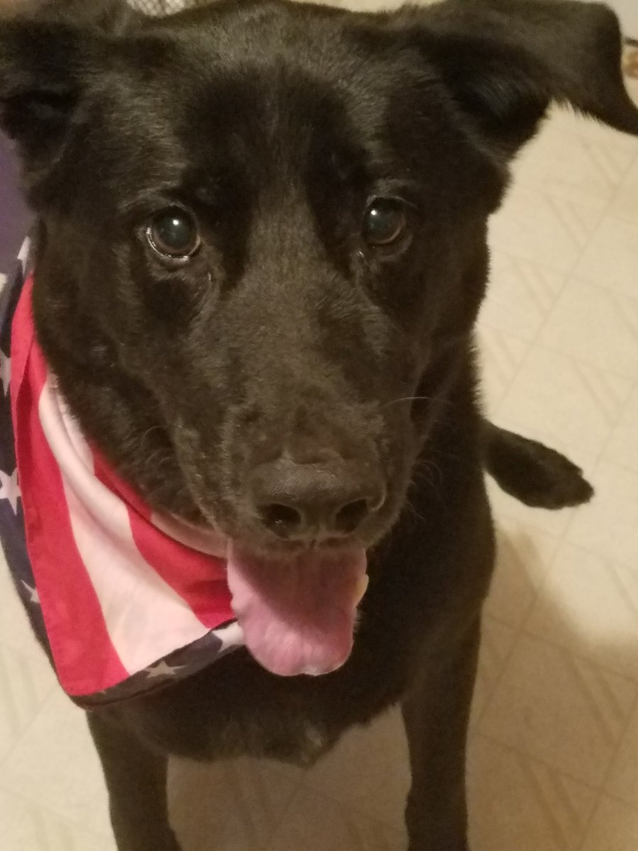 Daneesha Davis tweet media