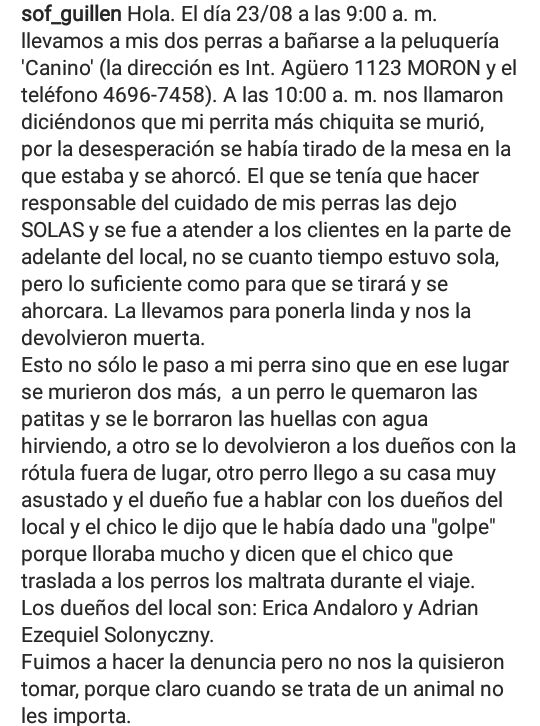 AlejoAngeli's tweet photo. Asco, difundan https://t.co/Z7YcmGfEw8
