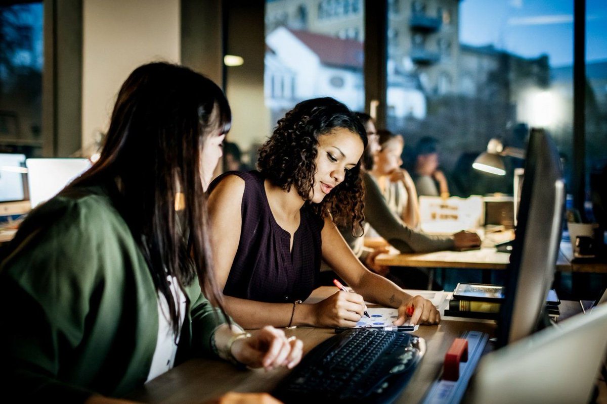 Career Muse tweet media