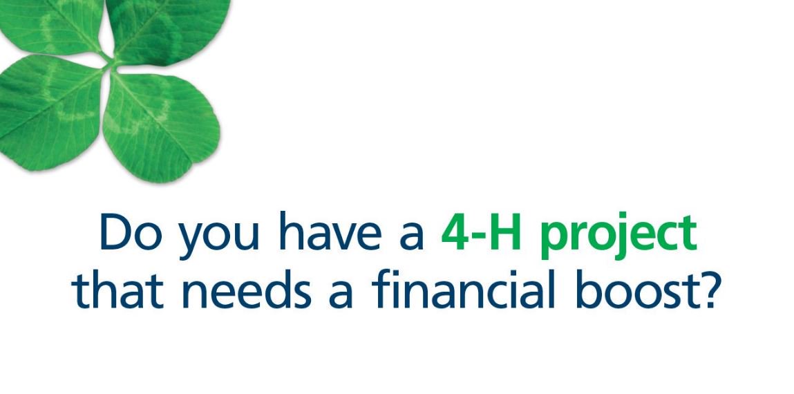 The FCC 4-H Club Fund is now accepting applications. Your club could receive up to $500. Apply now! fcc-fac.ca/en/in-your-com… #4HCanada