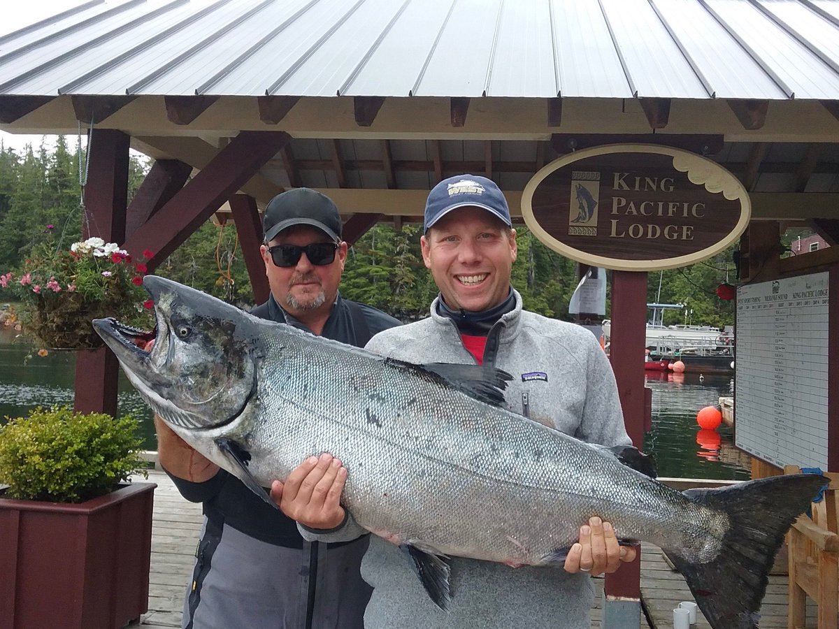 WSFKingPacific's tweet photo. Some great fishing action at King Pacific Lodge! 60lb Chinook, August 2017 https://t.co/aoFg8RFyhc
