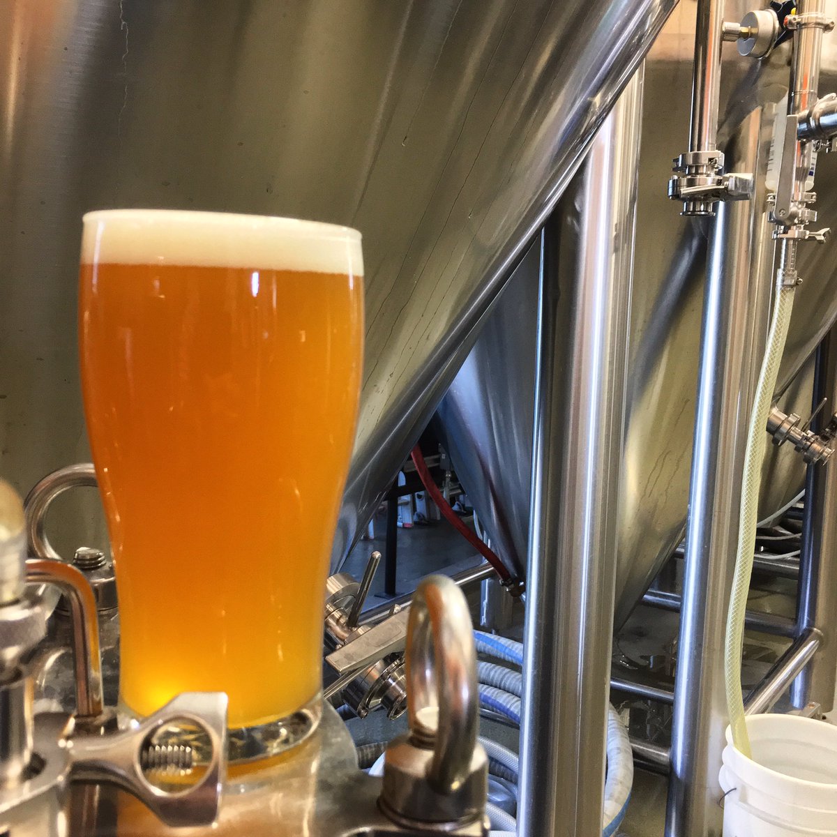 It's always a good day for a #HazeFaze. #TapIntoLife #DrinkLocal #HazyIPA