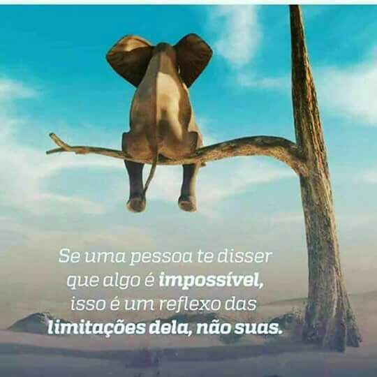 Thiago&Ariane#Beta (@thiagoariane) on Twitter photo 