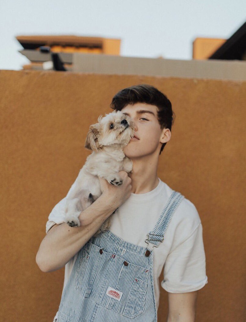 Aidanlexander's tweet photo. :') hello there pup https://t.co/24NSFXSQBZ
