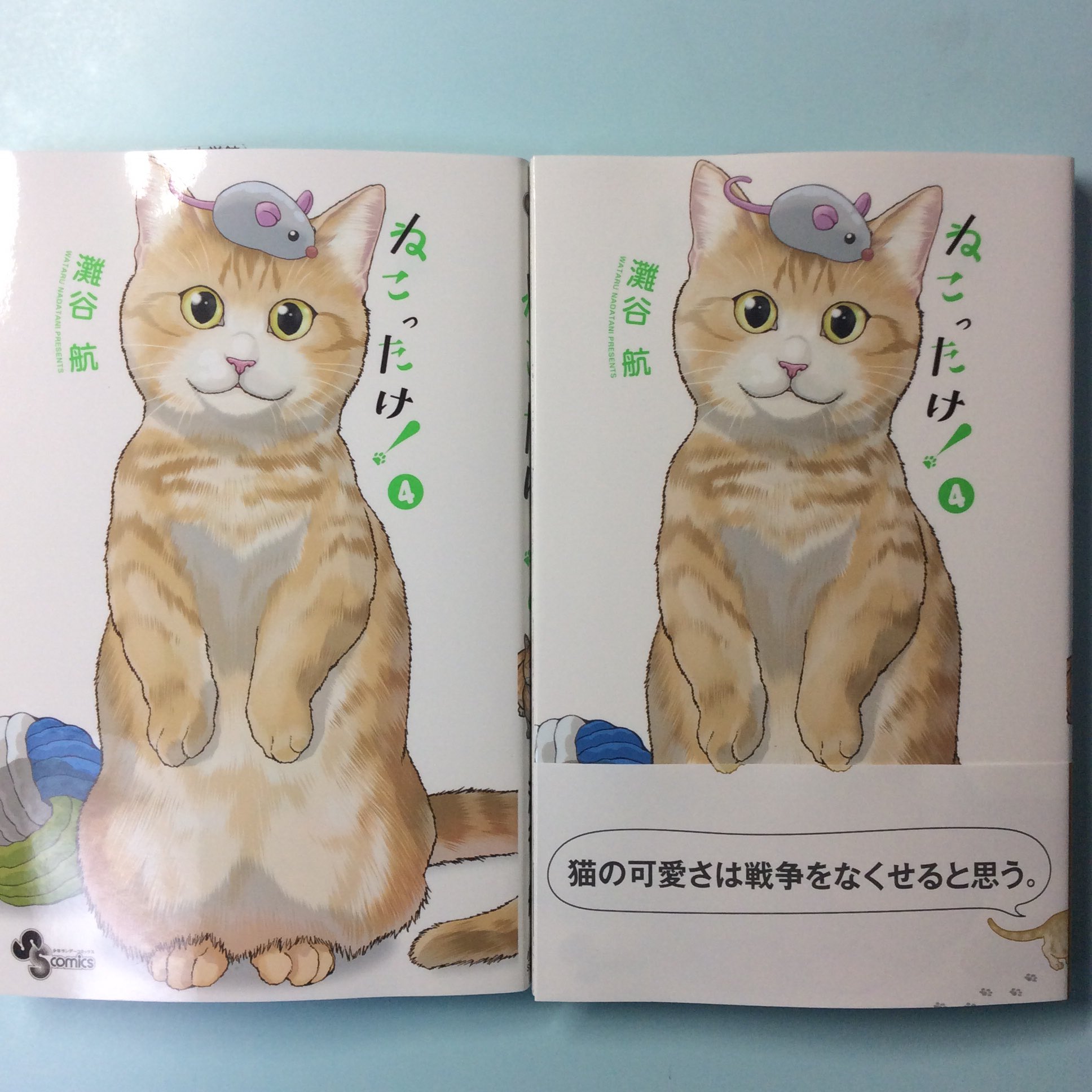 灘谷航 猫暮らしのゲーマーさん 巻発売中 Auf Twitter サンデーs 最新号に ねこったけ 23話目載ってます 今回は猫のいる部屋を大掃除するお話です 発売中の単行本4巻と合わせてどうぞ宜しくお願いします 灘谷航 猫暮らしのゲーマーさん 巻発売中 Auf Twitter サンデーs 最新号に ねこったけ 23話目載ってます 今回は猫のいる部屋を大掃除するお話です 発売中の単行本4巻と合わせてどうぞ宜しくお願いします