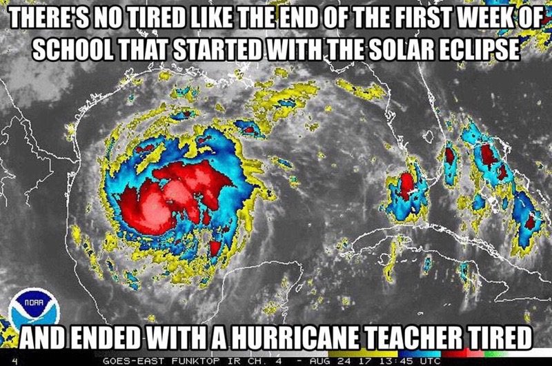 Katie Collier tweet media