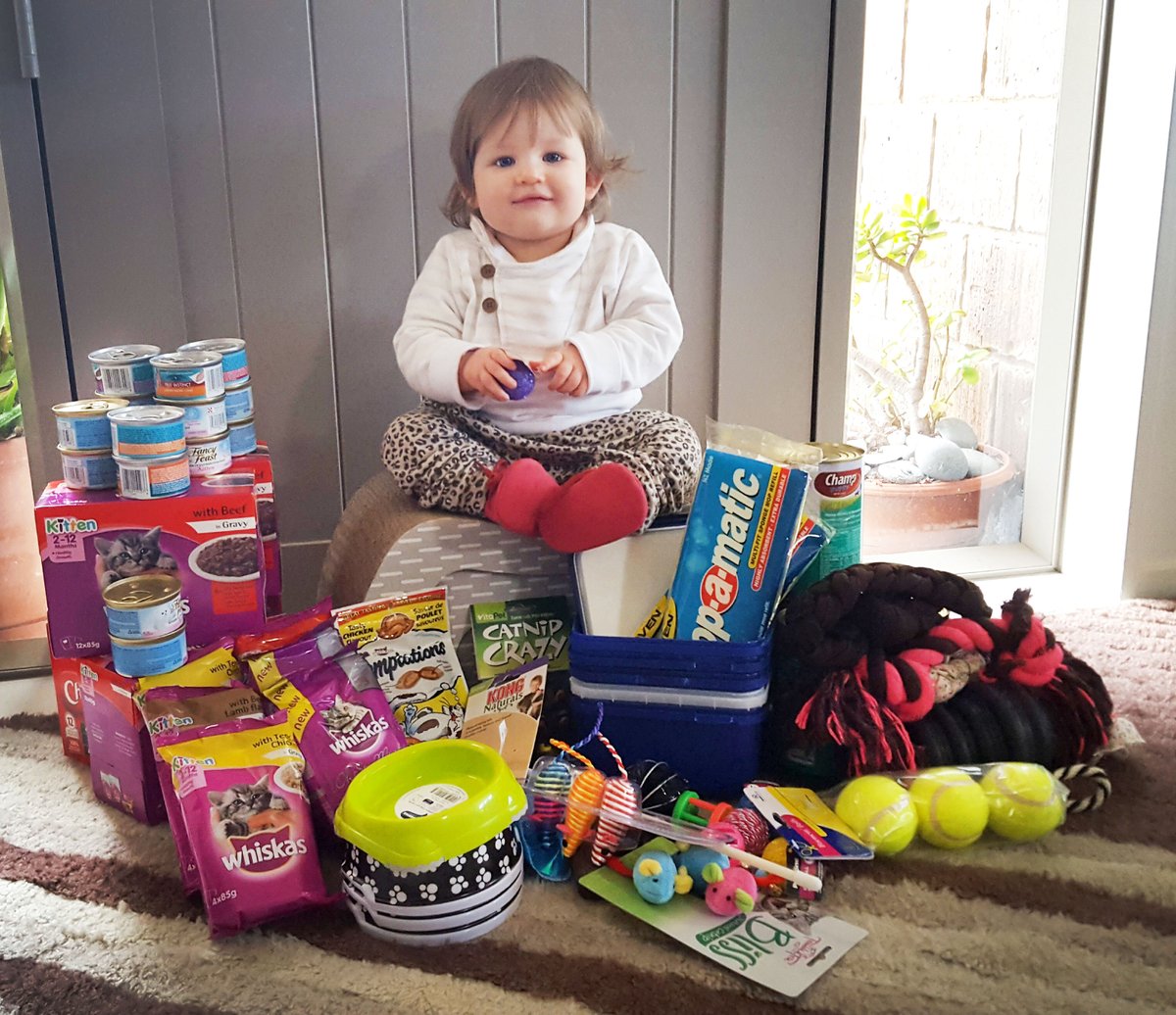 Gorgeous Ellie with all her awesome birthday donations for SPCA Wellington. Thanks Ellie, family and friends for helping animals in need :)