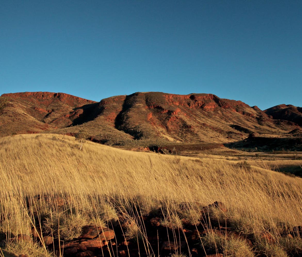 JoinFDIO's tweet image. Do you have what it takes to be an Independent director on a Traditional Owner board? Talk with the TOs who do know!fdio.com.au/event/informat…