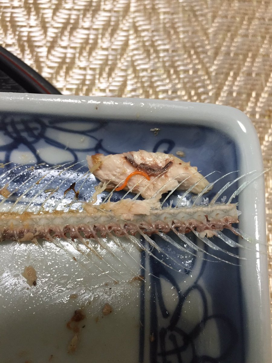 石川ゆう 作編曲家 Twitter ನಲ ಲ 今年初のサンマの塩焼き食べました 美味いすなぁ そして寄生虫ラジノリンクス発見