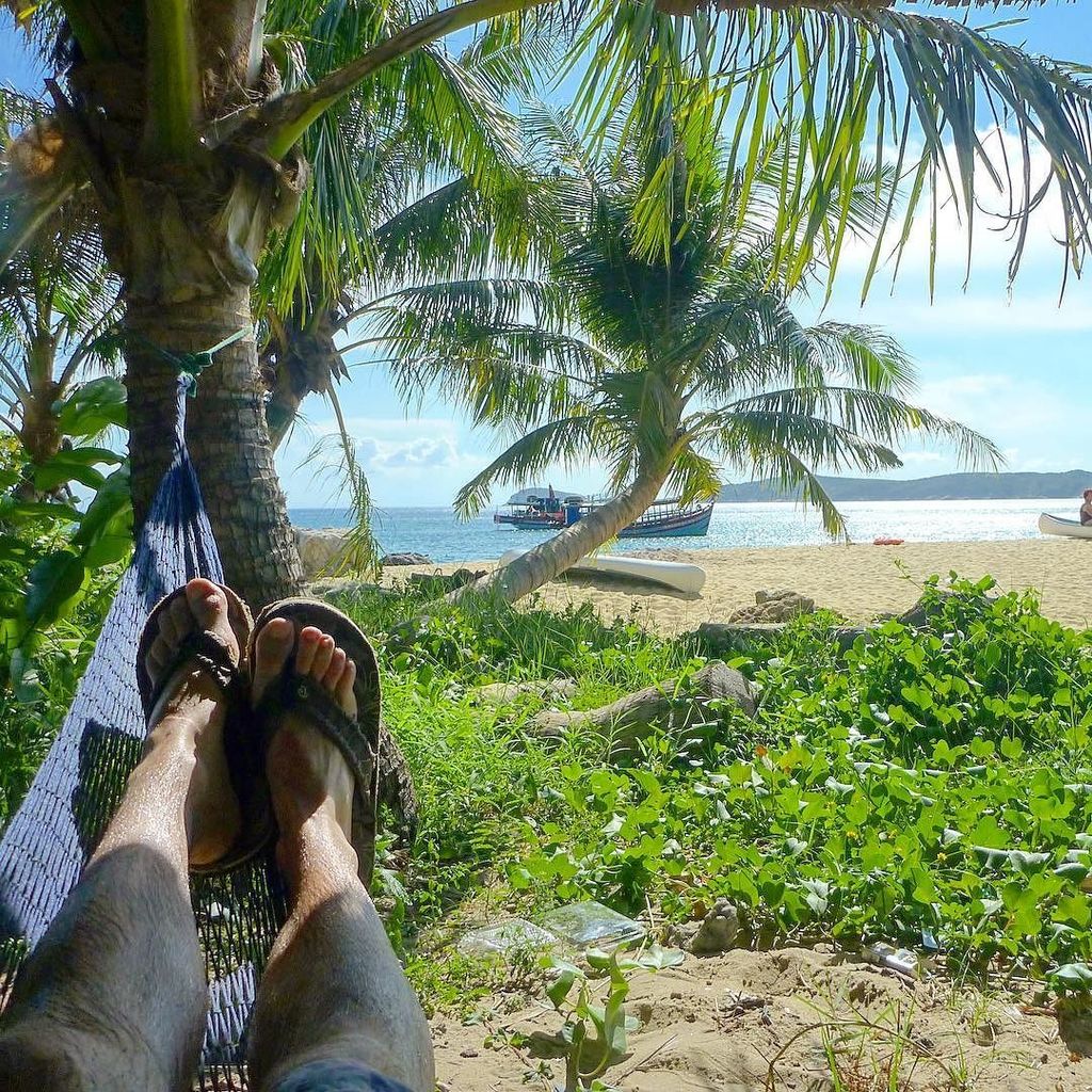 vhorizonsmedia's tweet photo. If in doubt, chill! #hammock #hammocklife #palmtrees https://t.co/UDUKkPiyBN