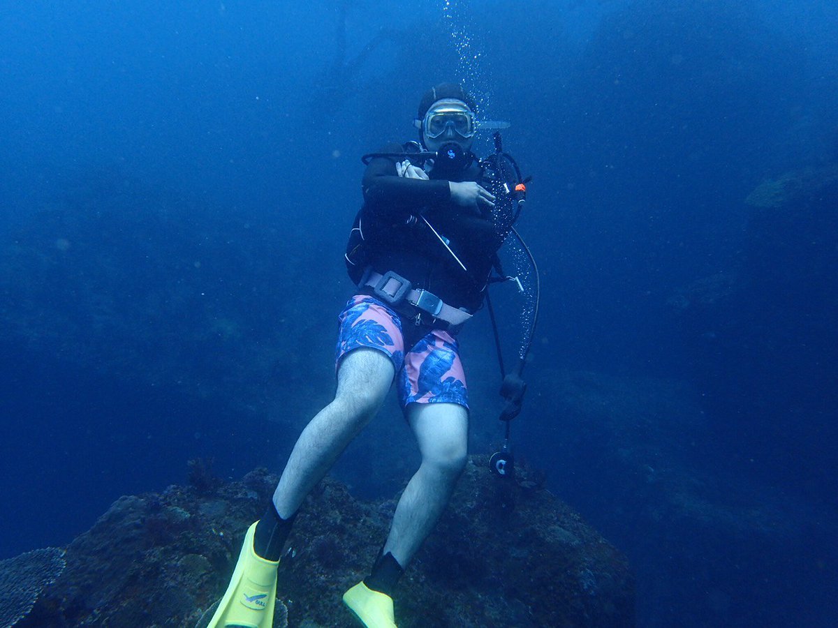 東京農業大学ダイビングクラブ 八丈島さきぐみぃ ニタリに遭遇 二年生が150dive などなど 本合宿前からスピード前回 ぐらんぶるフォトコン ニタリ