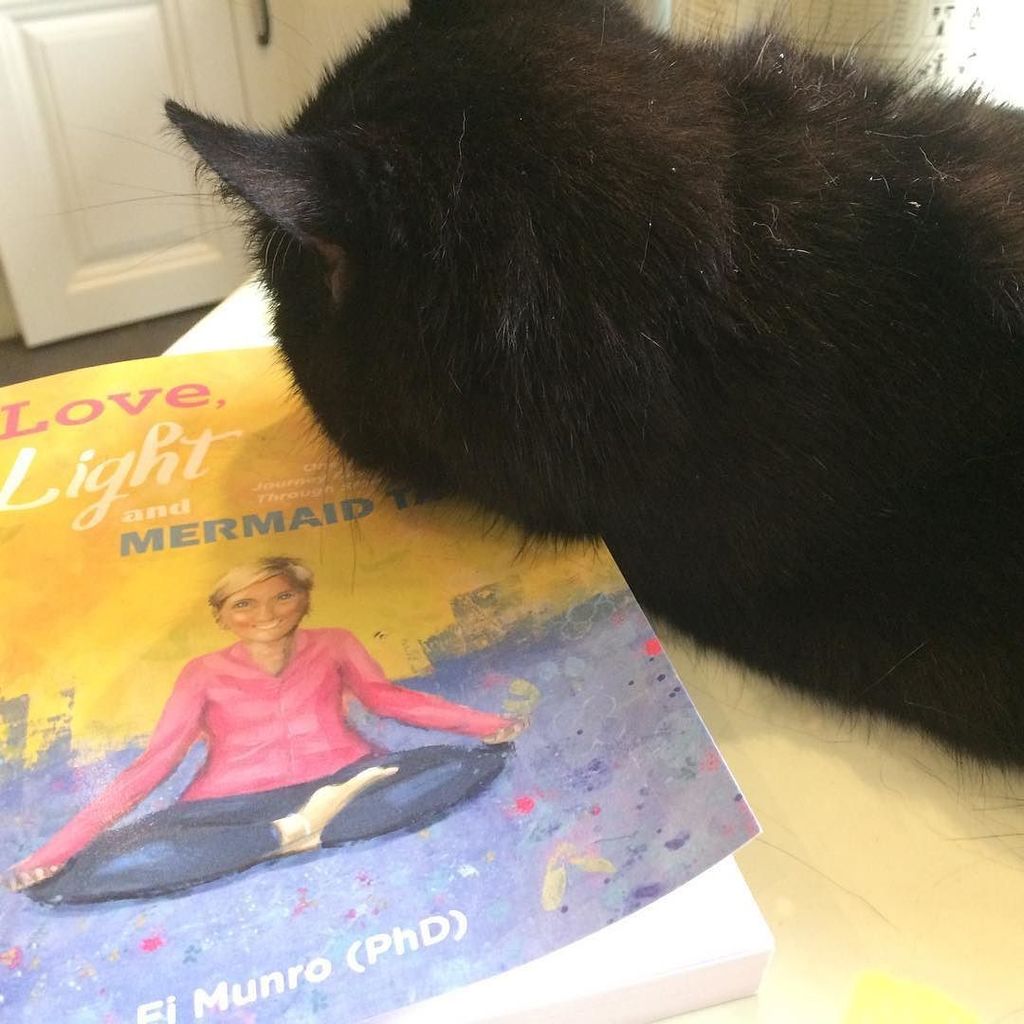 fkmunro's tweet photo. Contrary to what my cat thinks, my new book is not a pillow 🙈 | #buynow #author #onamazon #outbow #newbook #cat #c… https://t.co/tWCJa1lhaV https://t.co/up49NwUvwb