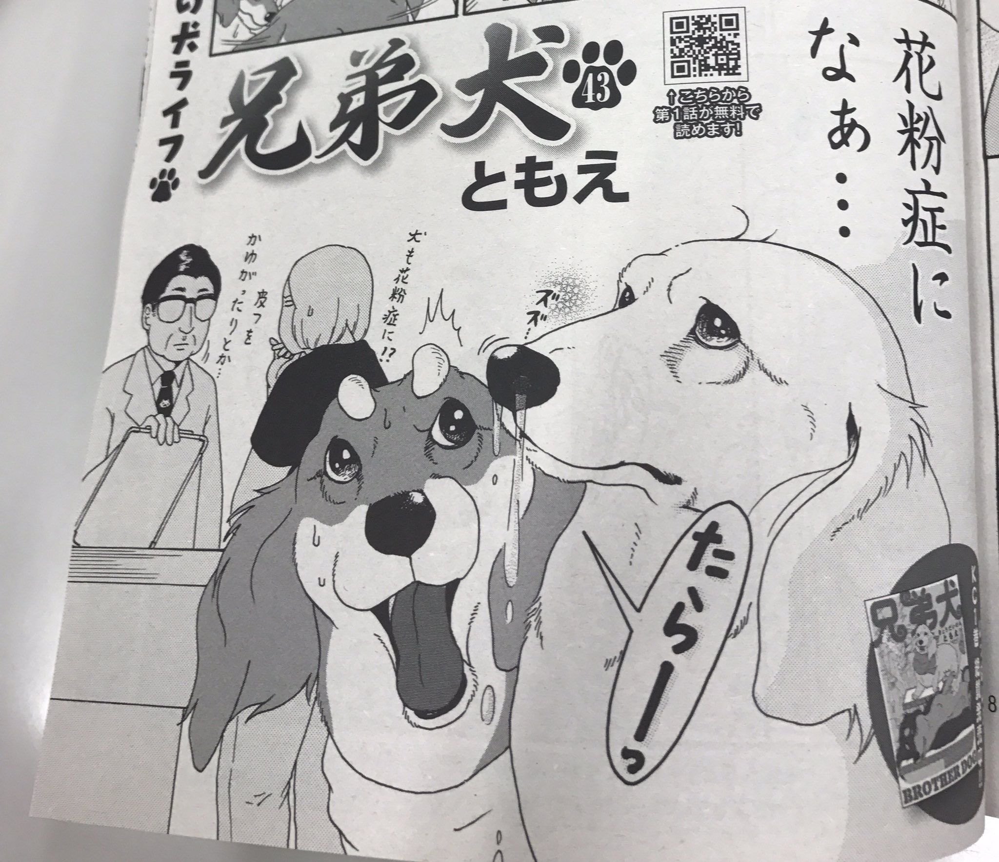 Kiss編集部 Auf Twitter 本日発売 Kiss10月号 ラインナップつづき 鮮烈なるラブストーリー 花本鹿乃子 夜明け前のうた 行列店限定グルメルポ漫画 鶴ゆみか とりあえず並んでみた ダックス兄弟ほのぼのライフ プチキス 電子版 も大人気 ともえ Kiss編集部 Auf Twitter 本日発売 Kiss10月号 ラインナップつづき 鮮烈なるラブストーリー 花本鹿乃子 夜明け前のうた 行列店限定グルメルポ漫画 鶴ゆみか とりあえず並んでみた ダックス兄弟ほのぼのライフ プチキス 電子版 も大人気 ともえ