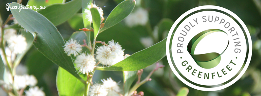 #DidYouKnow that <a href="/Smartsalary/">Smartsalary</a> customers have contributed to plant more than 1.6 million native trees to offset emissions w/ <a href="/GreenfleetAust/">Greenfleet</a>?