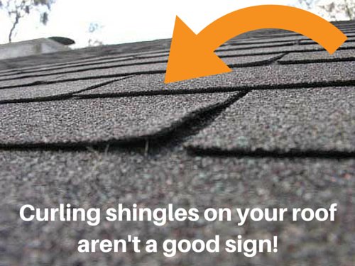 Curling shingles can lead to drastic roof damage down the road. Keep a #roof over your head, contact us today!

bit.ly/1F6GiDD