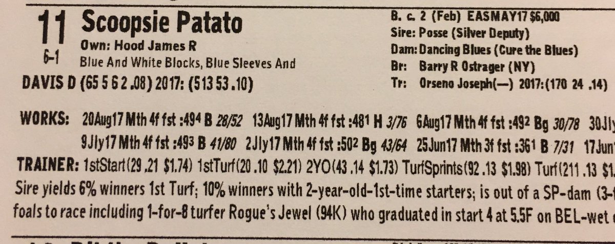 MartyW10's tweet photo. @Joe_Gatto At Saratoga and I saw this horse running in Friday. Had a flashback laugh! https://t.co/z07x0tv9lo