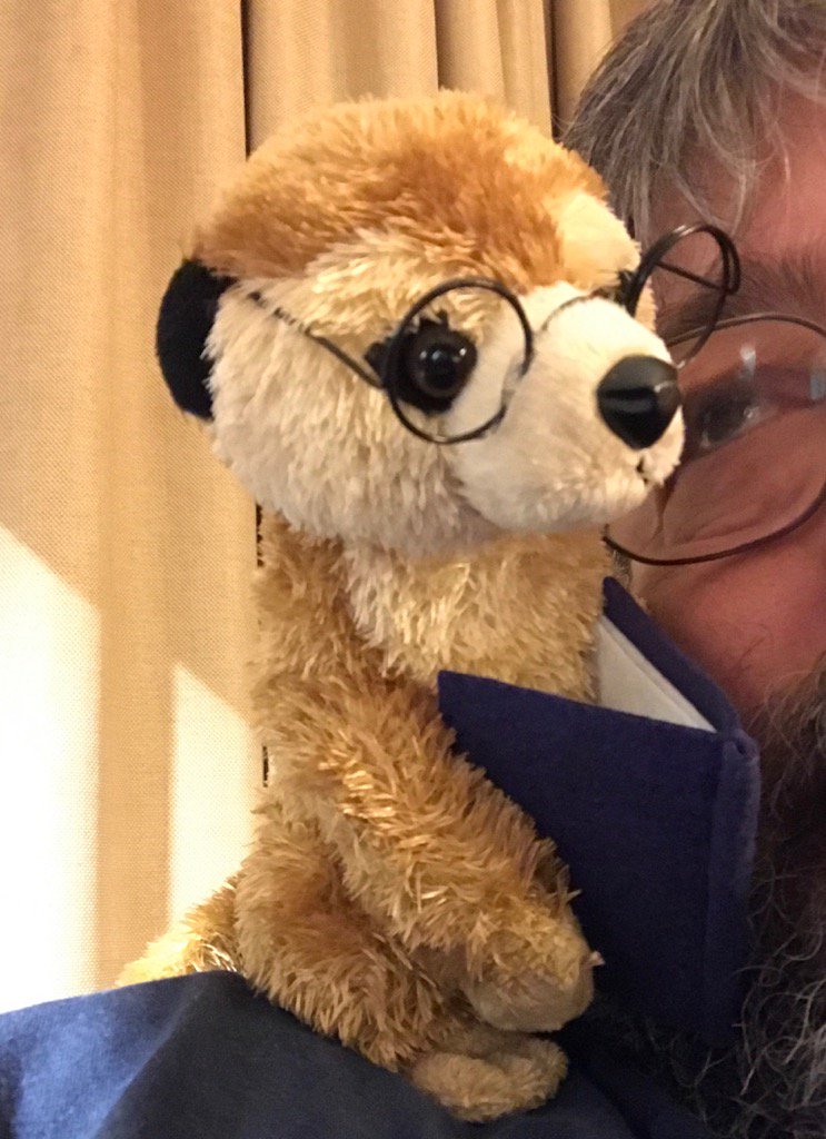 Got a Marly for a completed Gartner Peer Review 🐒🙂💪👍😎😜 #GartnerCAT #MarlyApproved