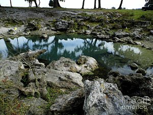 dhackett4150's tweet photo. #sink #bluesink #reflections #cenote #cenotes #krast #grotto #springwater #freshwater #florida #dhackett https://t.co/tXTWORFcaU https://t.co/bd3Tx0FYYi