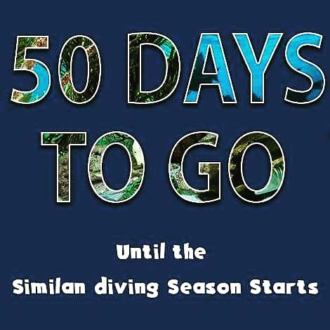 ChuleekornMorg's tweet photo. Wow! We are here and start countdown
50 days to go until the #SimilanDiving season starts!
#diving
#similandivingtours
#scubadiving
#50days https://t.co/bb5mcN8Dsq