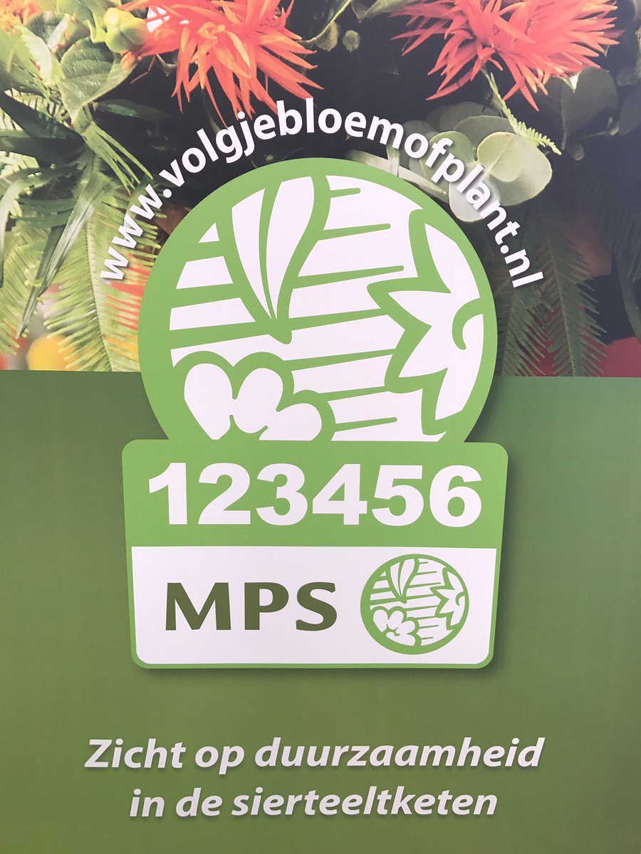 Raymond Scheepens tweet media