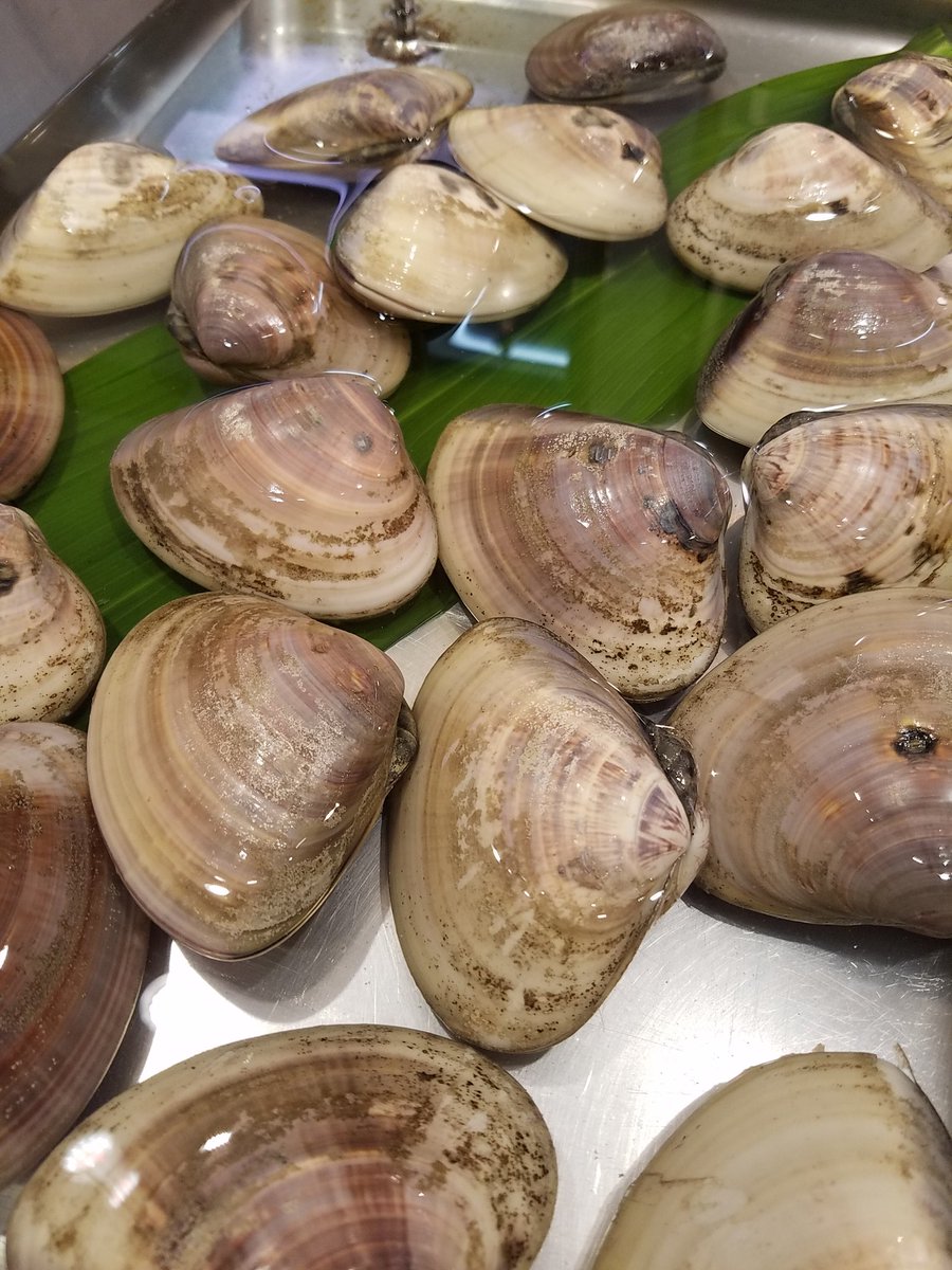 魚市 二子新地鮮魚店 على تويتر 魚市です 本日のおすすめ 激安 極上 礼文産塩水うに入荷 九十九里産地はまぐり 青森津軽海峡 天然生本まぐろ刺身 お買い得 生しらす 北海道産生新さんまなめろう 宮城産まこかれい刺身 愛知産真こち刺身 千葉産