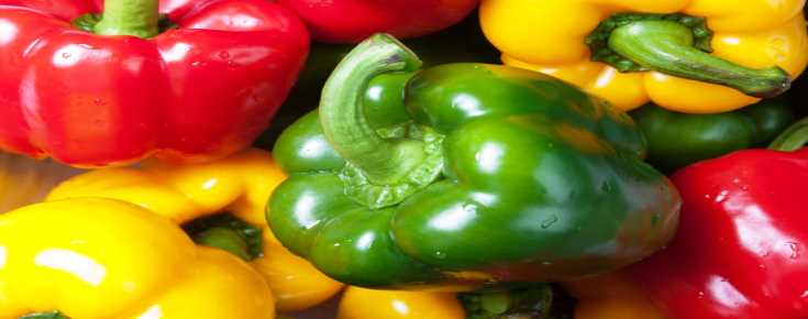 WajabatyApp's tweet photo. Nutrition Facts of #SweetPepper
#Peppers, both sweet and hot, are packed with vitamins A, C, to enhance weight-loss. https://t.co/NUQrOc5uId https://t.co/ShOO9MgoL4