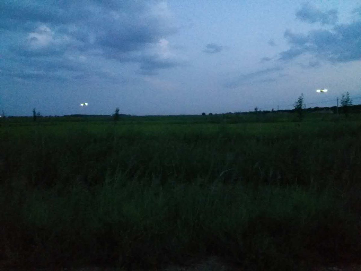 The sun was setting and soon it was dark, and our #spraying drone began its evening work！