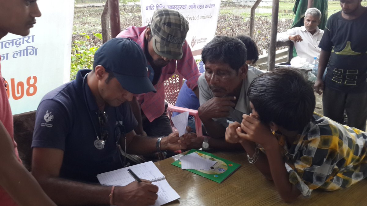 AnimalNepal's tweet photo. " Life is about Saving Animals"#Another busy day for our team in mid- Tarai.!! https://t.co/JxdAdrYqng