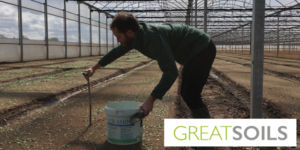 AHDB_Hort's tweet photo. We'll be at @Valefresco with @GREATsoils on 12/09 evaluating the most practical #soilassessment tools for #fieldveg https://t.co/vHWNZ7v3cM https://t.co/ioF59ATm9a