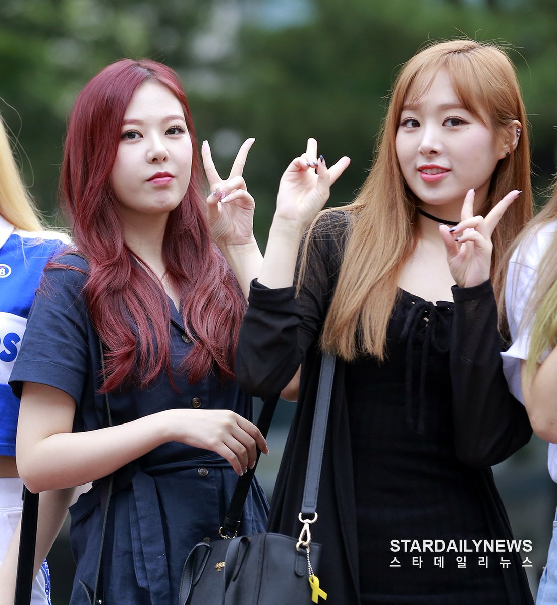 Everydaykpop tweet media