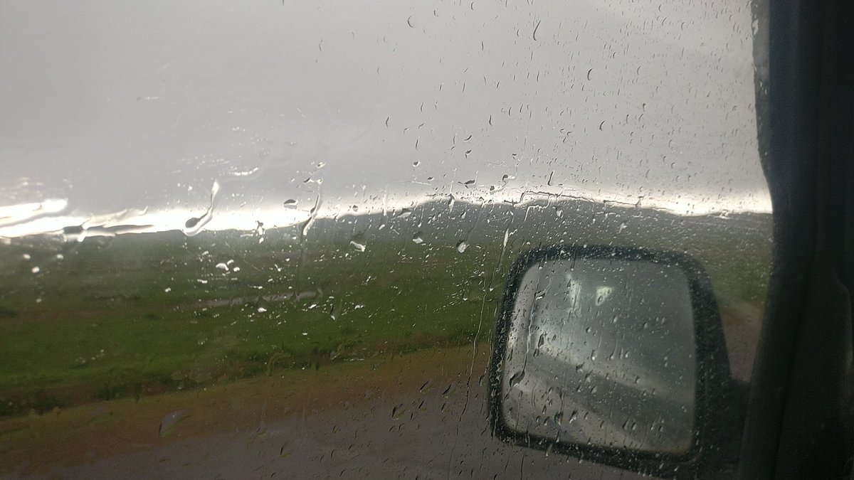 Team Eremus tweet media