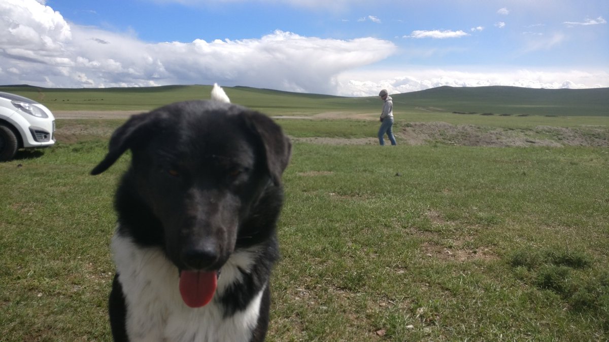 Team Eremus tweet media