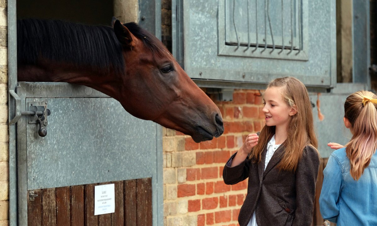 Taking the kids to Newmarket's Family Fun raceday today? Make sure you bring them back to meet their new heroes next month! #NewmarketIsOpen