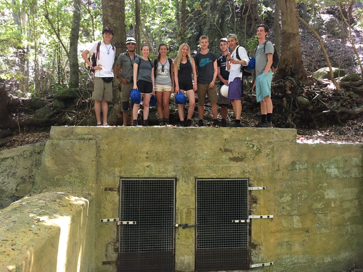 Madeline Calvert tweet media