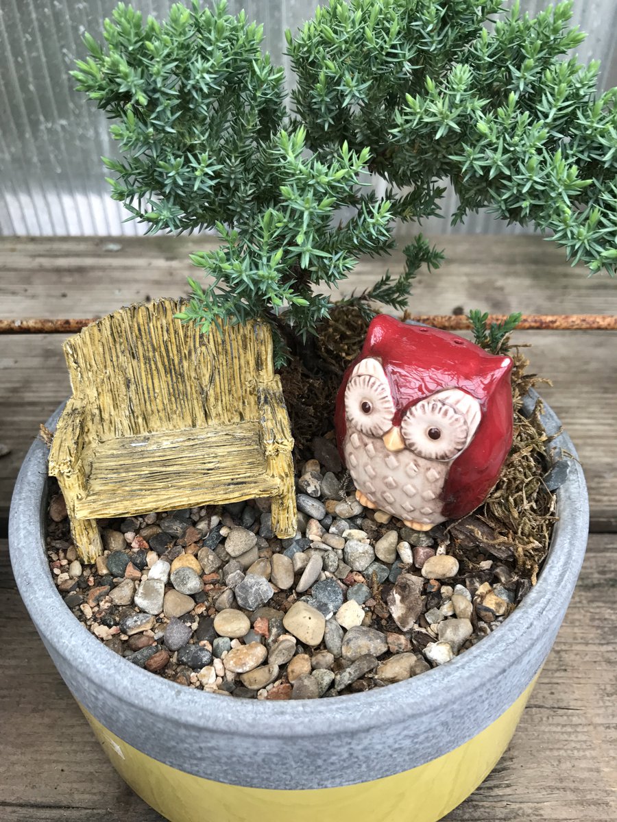 Barnes Nursery On Twitter We Still Have A Large Selection Of