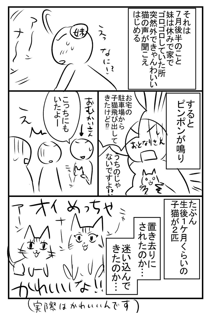 捨て？子猫ちゃんを保護した話。前編 