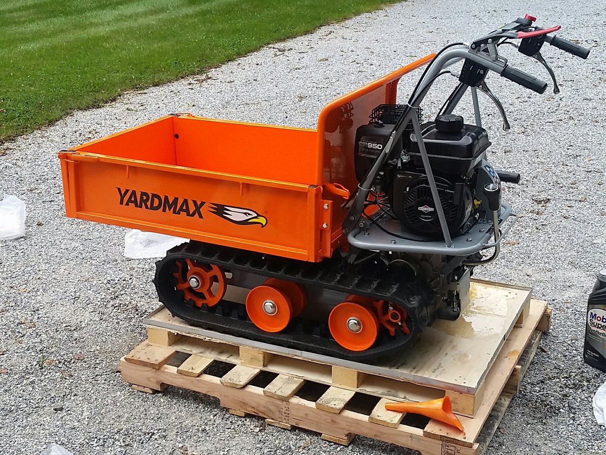 Bear Turf tweet media