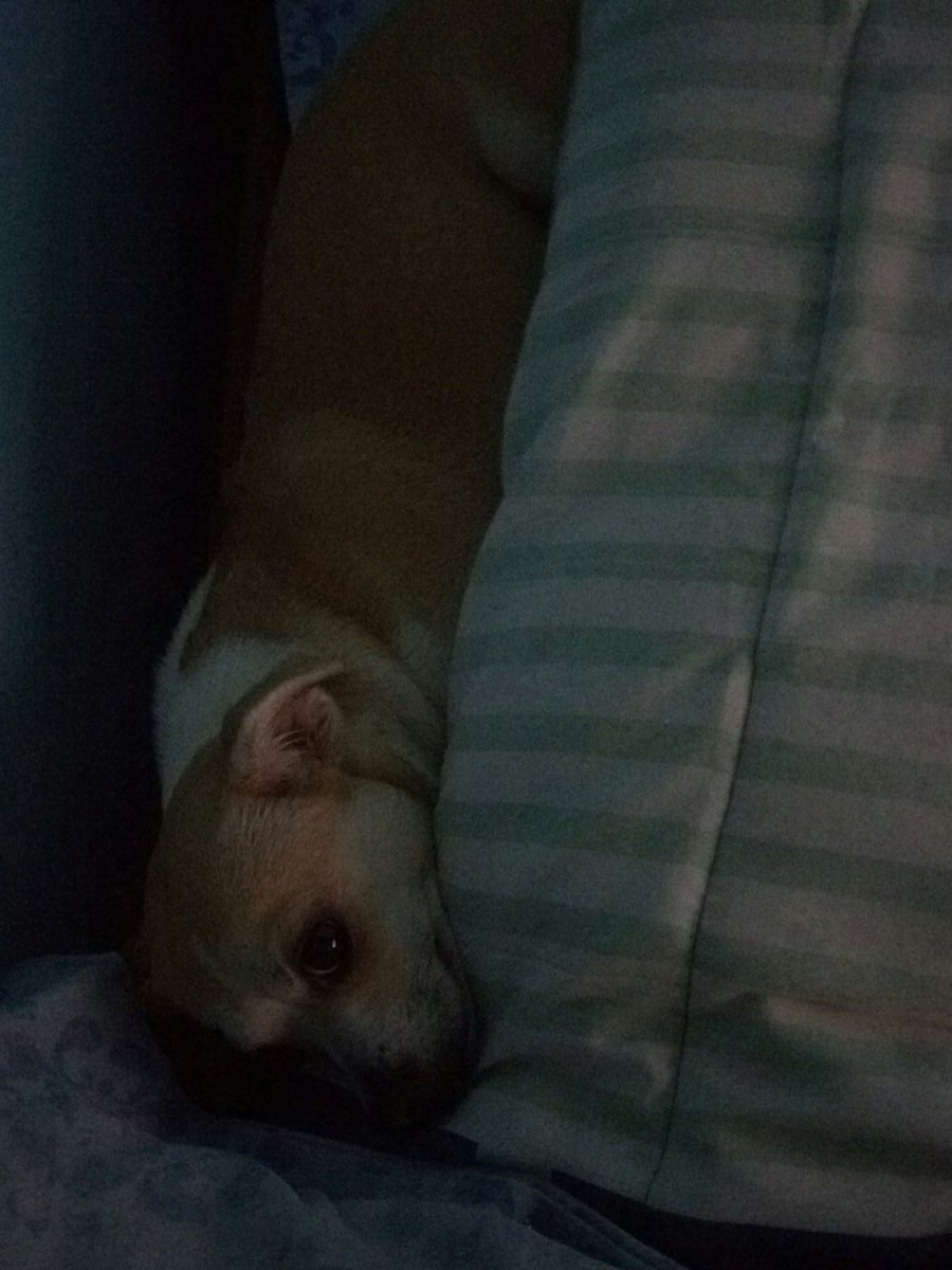 Olar 
#BetaQuerLab #BetaAjudaBeta