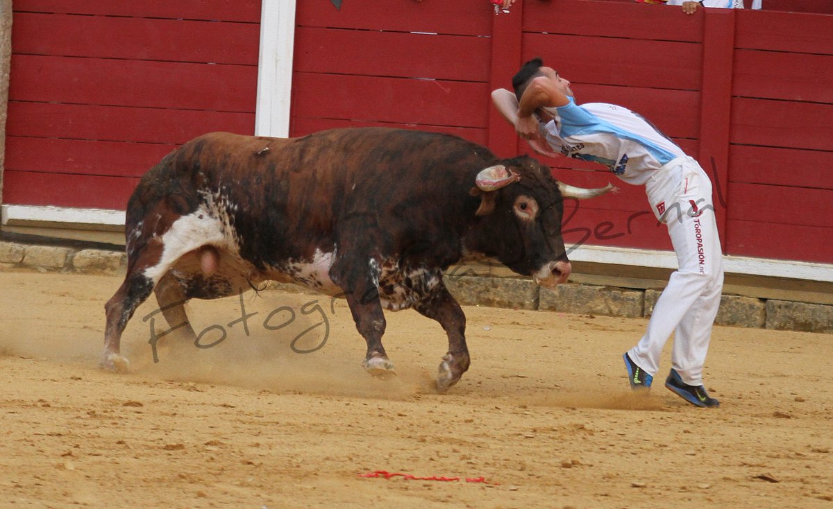 SERGIO GARCIA TORORO CAMPEON DE TORO 2017