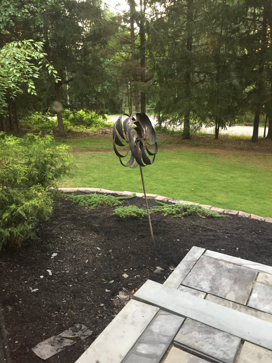 AlexisKWPCEO's tweet photo. It's a beautiful day!
Front yard is coming along. https://t.co/6LP7W8vWtO