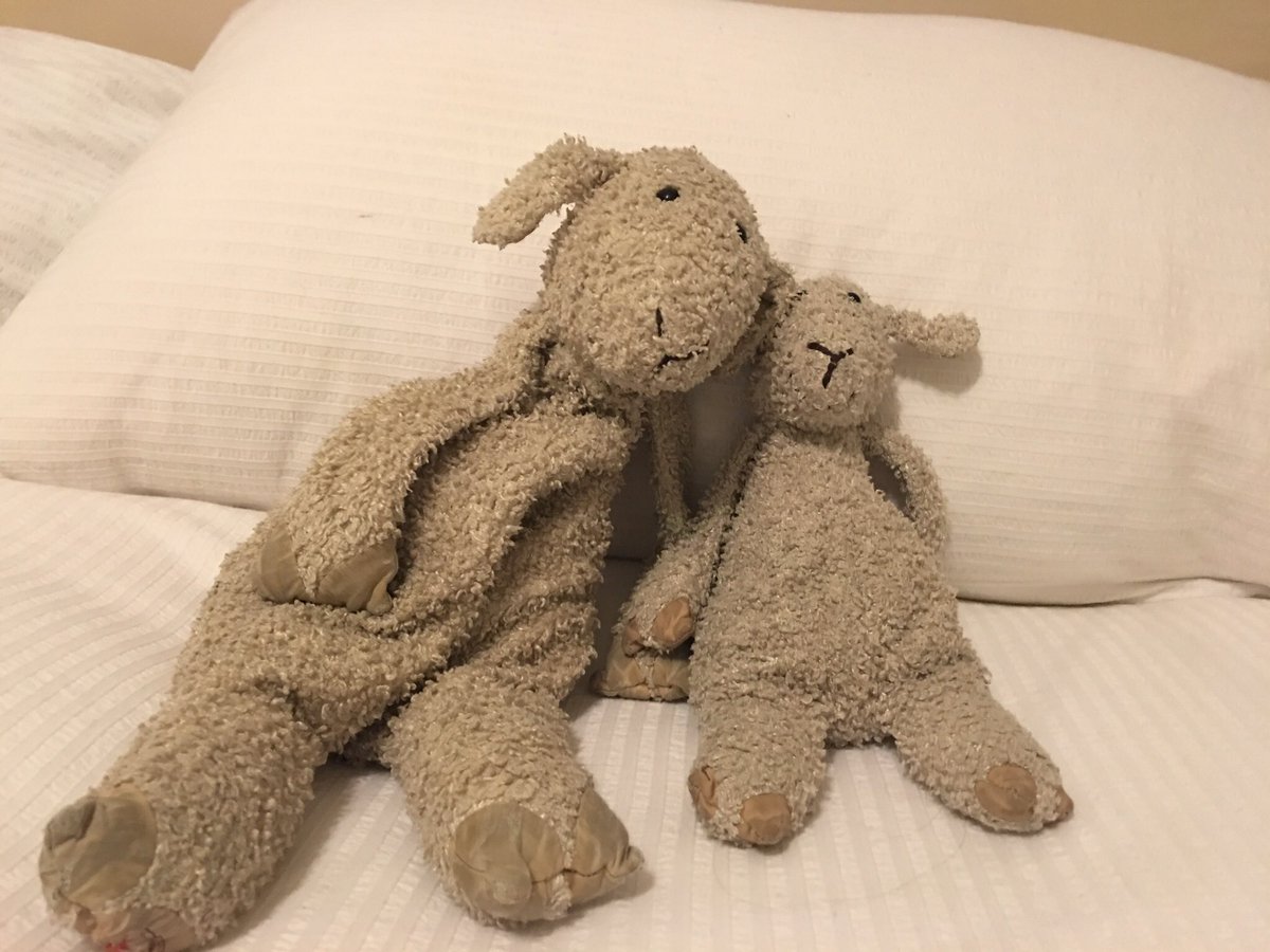 delta lost item on flight